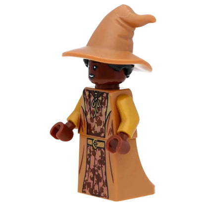 LEGO Harry Potter Minifigur Professor Sinistra - hp310 Spiele Pirat