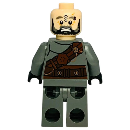 LEGO Lord of the Rings Minifigur Pirat von Umbar - lor067 Spiele Pirat